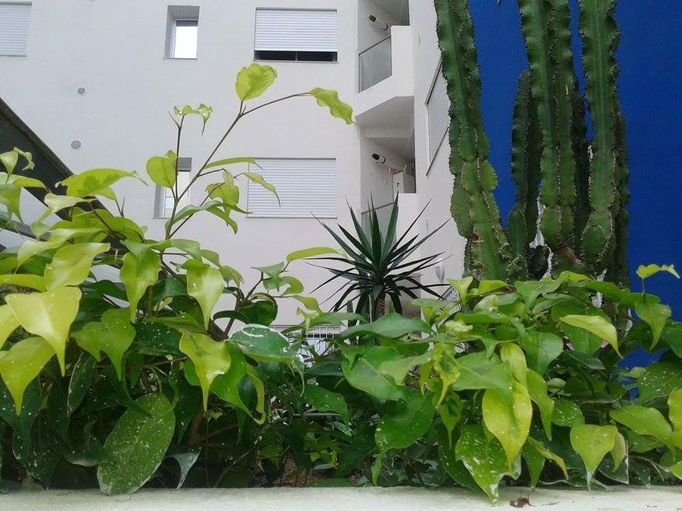 Le Lagon De Al-Hammamat Pokój zdjęcie