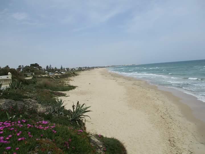 Le Lagon De Al-Hammamat Zewnętrze zdjęcie